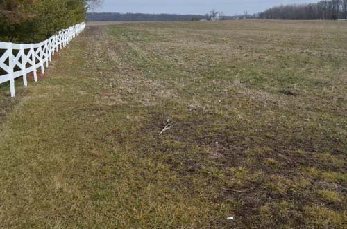 Property photo 41 - 98+/- Acres Offered in 6 Tracts or Combinations, Noble County, Indiana Farm